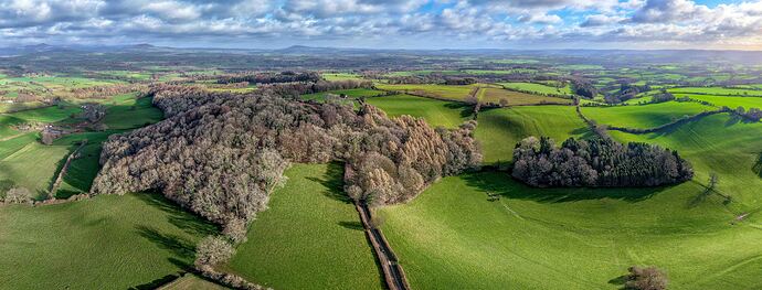 f51ca1cc-cdf3-44ad-a0b7-7e8c2a7039dc_dji_202603