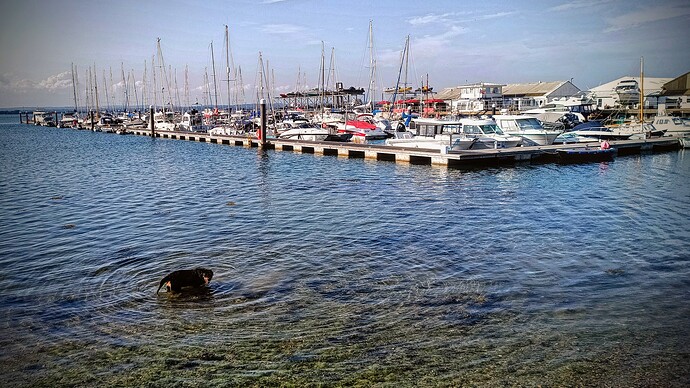 IMG_20250701_181123_DRO-EDIT