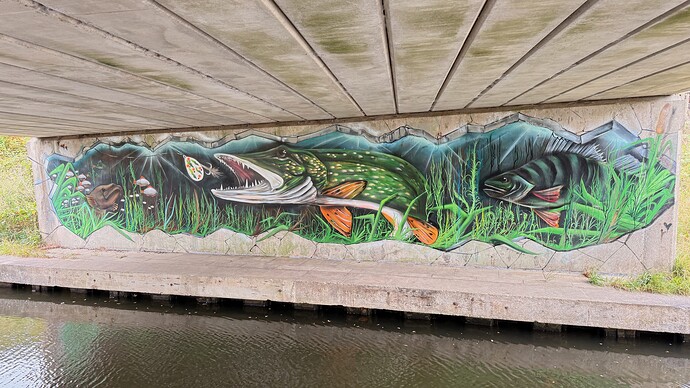 8ccebab0-73d6-4d8a-8e87-b9c240ee066a_img_1735