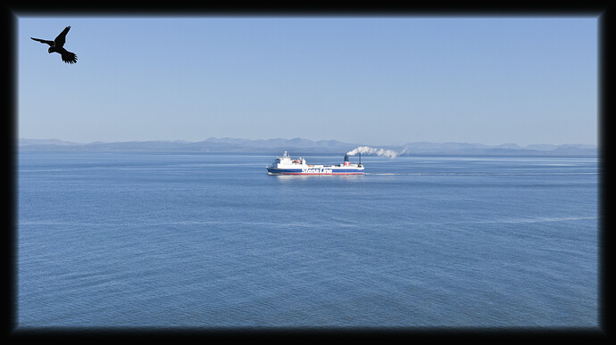 DJI_0781