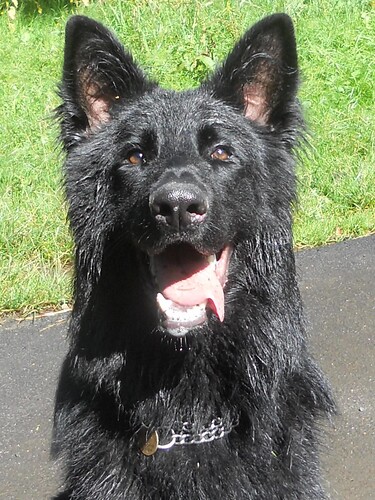 FB_IMG_1771345705801