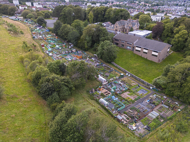 Dru_JCP_allotments01