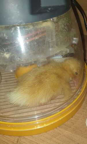 IMG-20220508-WA0001