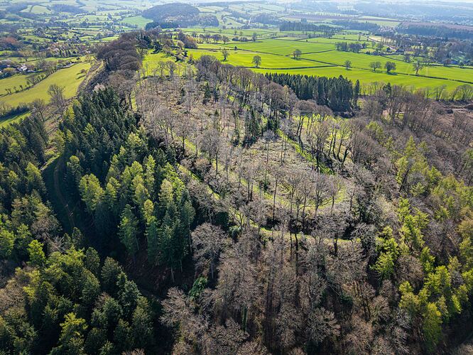 600bd8bd-bcb4-47af-a974-ed5ce83c7800_dji_202604