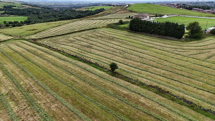 dji_fly_20250802_130414_0071_1754682437689_photo