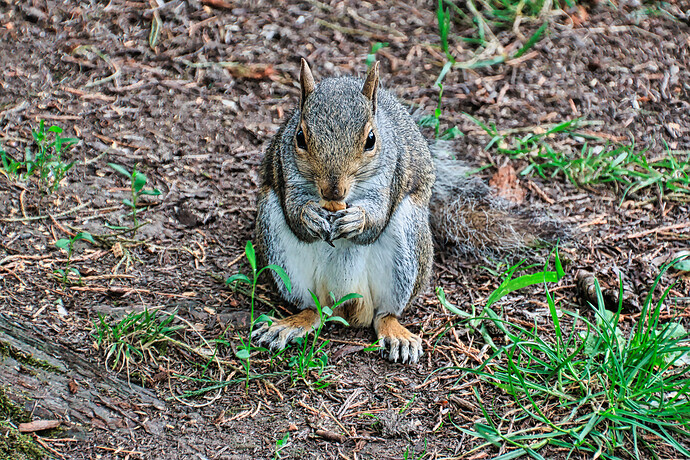 54586666247_bcee190181_o