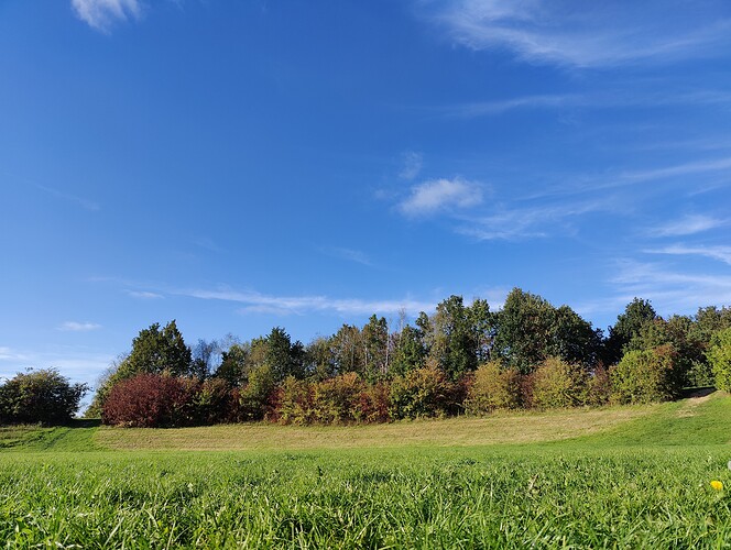 IMG20251009160232