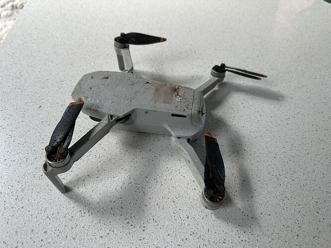 429894248_3230381670600828_6905649972668633817_n