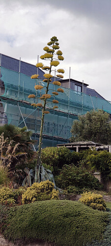 IMG-20250912-WA0000