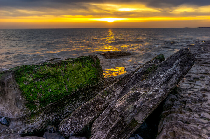 SCRD_200321_00019-Edit