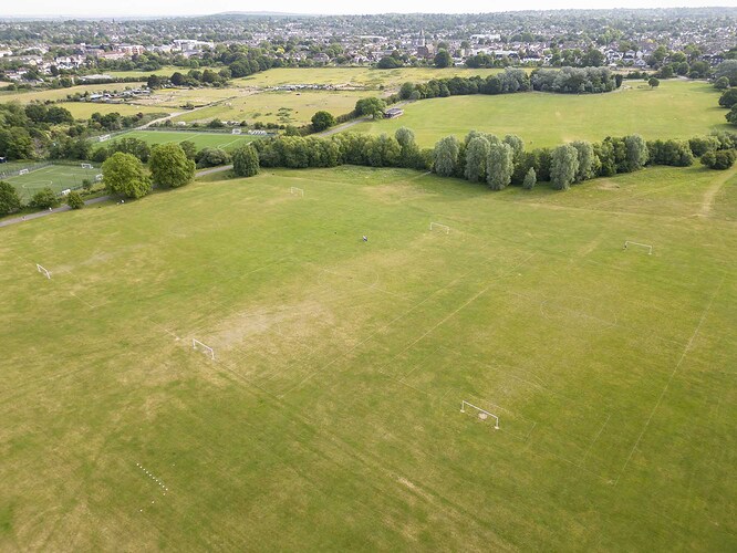 norman park 4