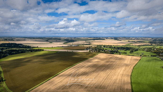 DJI_20230819133335_0087_D-HDR