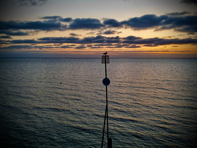 dji_fly_20250508_203628_32_1746816010901_photo