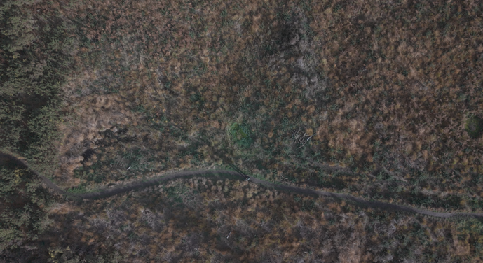 9c0f2d3f-0ce5-4f5c-bb83-88abd3b7bd7a_screenshot