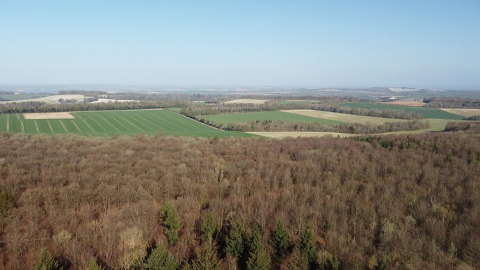 Green colours of spring