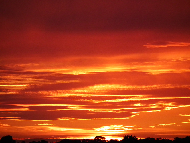 Sunset
