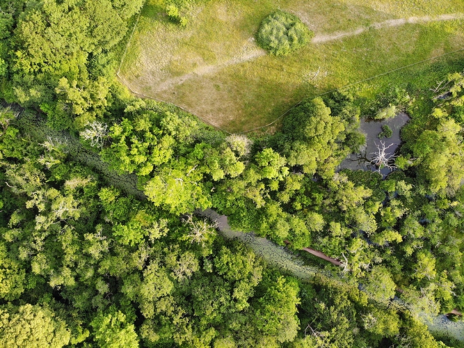 DJI_0622