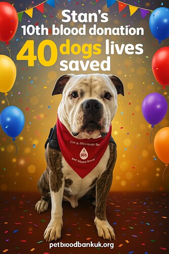 565164323_122151031406650435_1198416009949681376_n