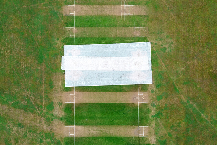 Cricket Pitch