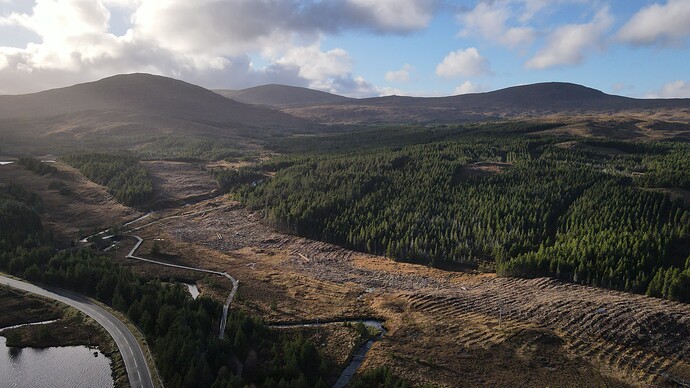 dji_fly_20251109_132514_421_1762694727181_photo