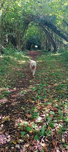 IMG_20250921_145125