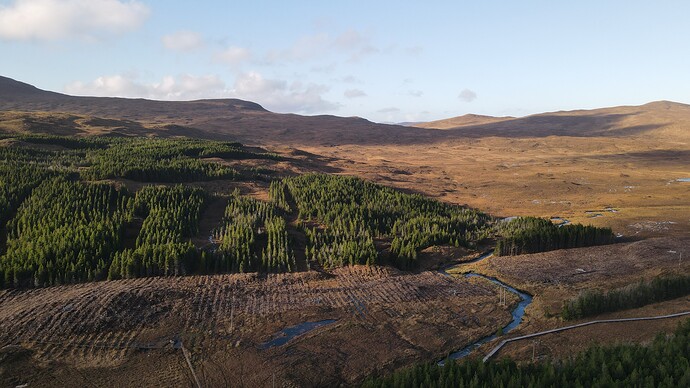 dji_fly_20251109_132440_419_1762694689257_photo