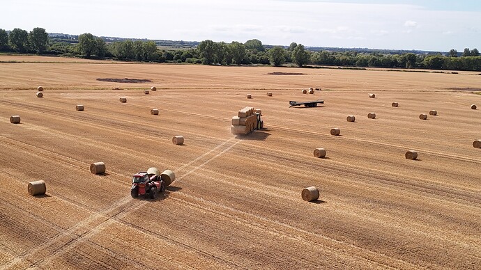 dji_fly_20250802_153758_0977_1754148382418_photo