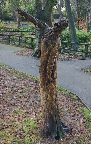 PTSC_0686 2025-12-16_11.17.05-edit-20251216173605