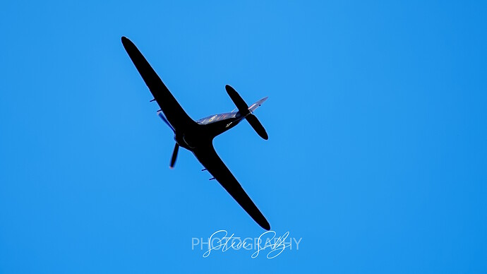 DSC_3277_01