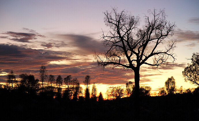 outback sunrise 4