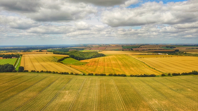 DJI_0596-01