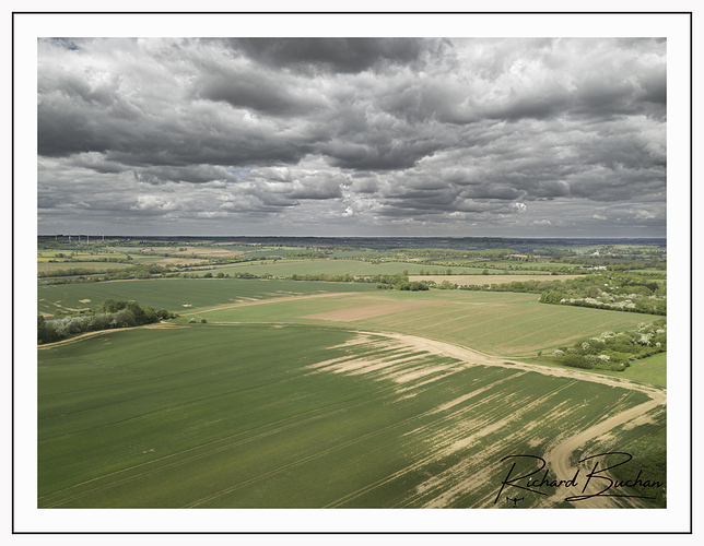 fields