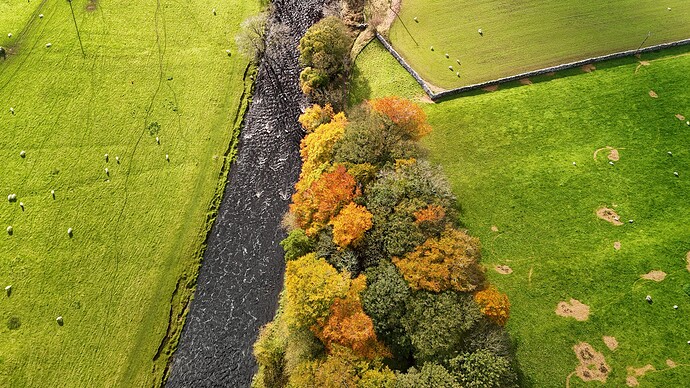 dji_fly_20251027_130212_0454_1761584035857_photo