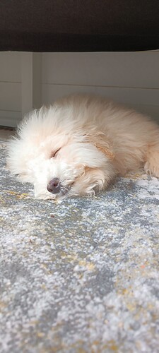 IMG_20250511_132207