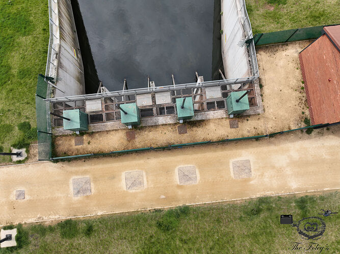 DJI_0831