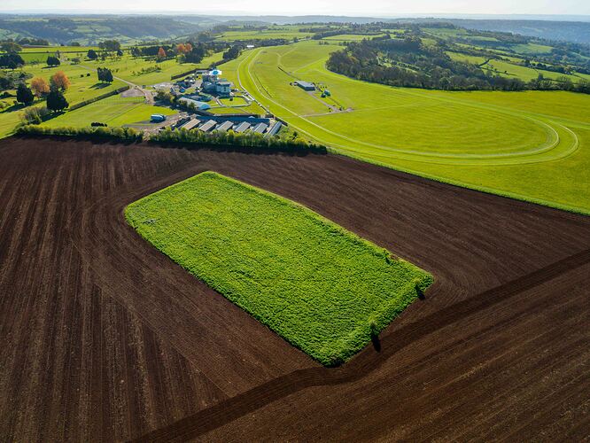 39867e97-98f6-4f85-baf5-bca3d9d1e376dji202604