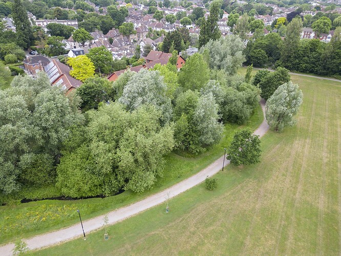 chinbrook meadows 10