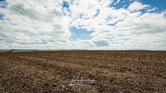 DJI_20230819134156_0100_D-HDR