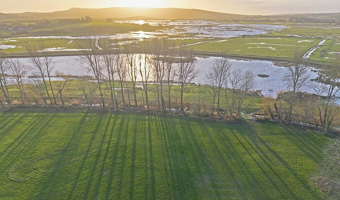 lewes priory cricket 3