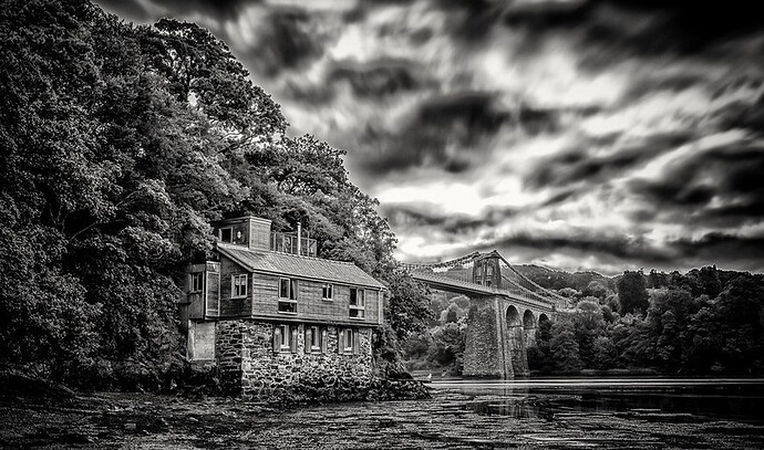 51614324848_089f4cce3b_c