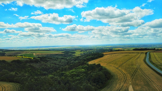 DJI_0593-01