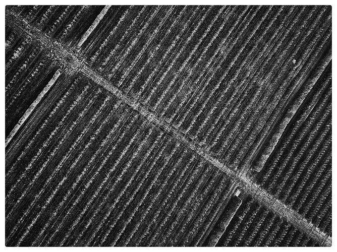 DJI_0071_gunner-01