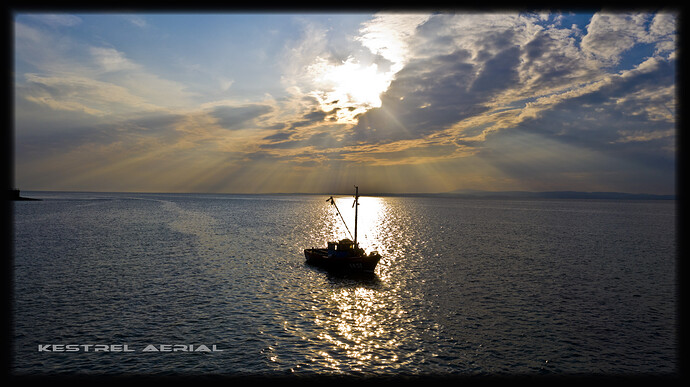 sunbeams