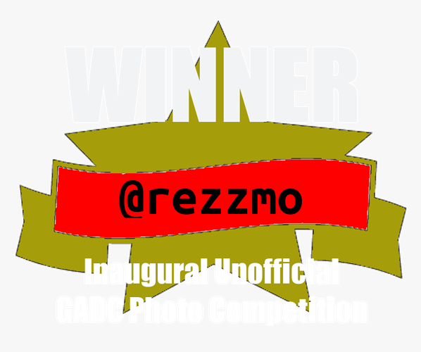 rezzmo