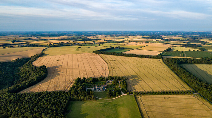 DJI_0098