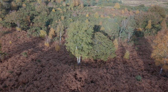 593be9b3-64f0-45e8-a252-72ac189add08_screenshot