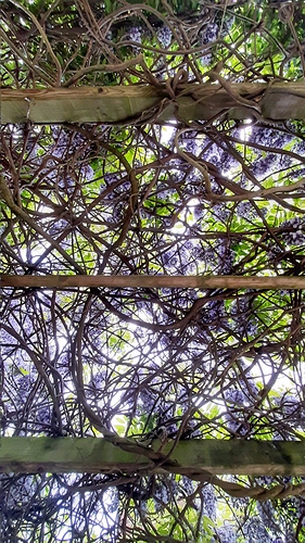 20200509_184041-01