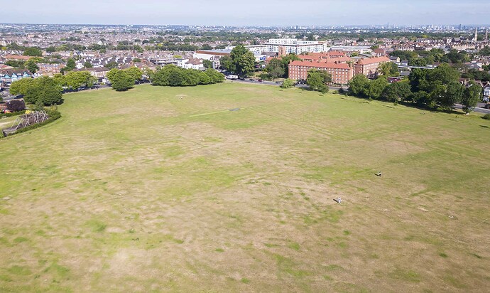 streatham common 4