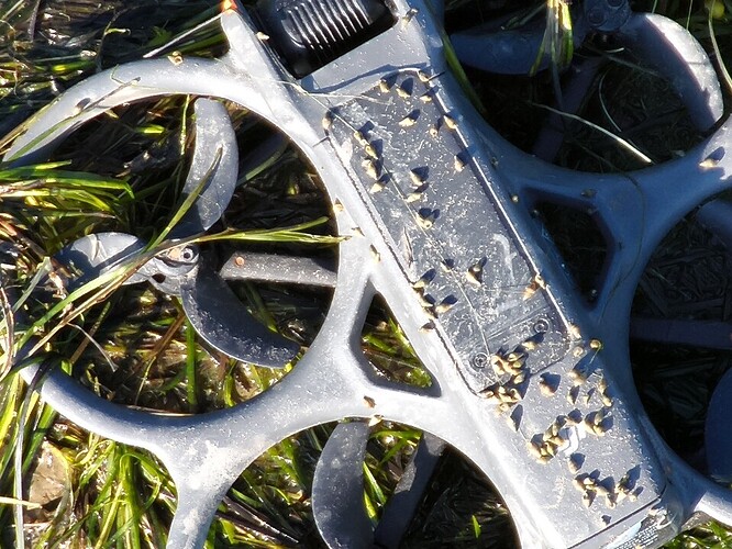 screen_8d273ed9bff3be52_1759224844000