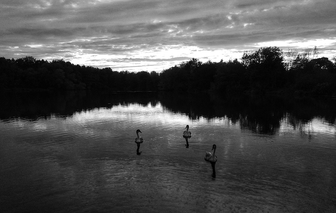 Photo_6554153_DJI_553_jpg_4123817_0_202092819432_photo_original-01